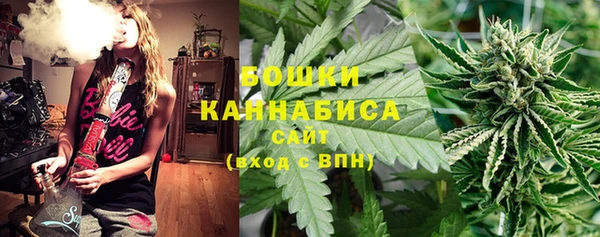 PSILOCYBIN Надым