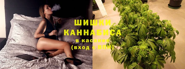 PSILOCYBIN Надым