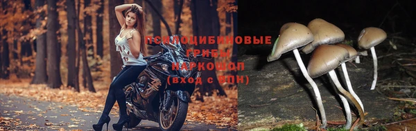 каннабис Наволоки