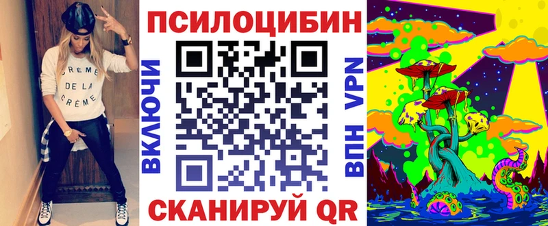 Псилоцибиновые грибы Psilocybe Кедровый